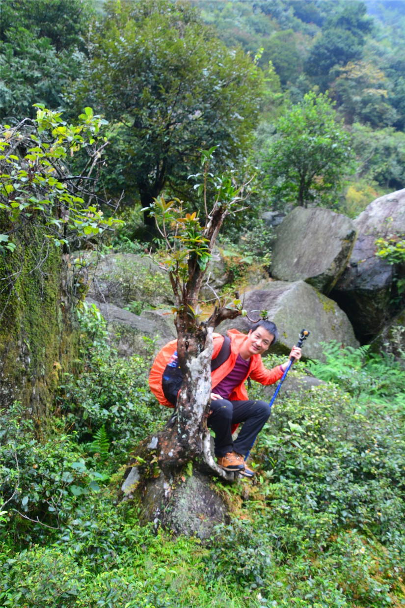 十大非著名山峰,湖南十大非著名山峰