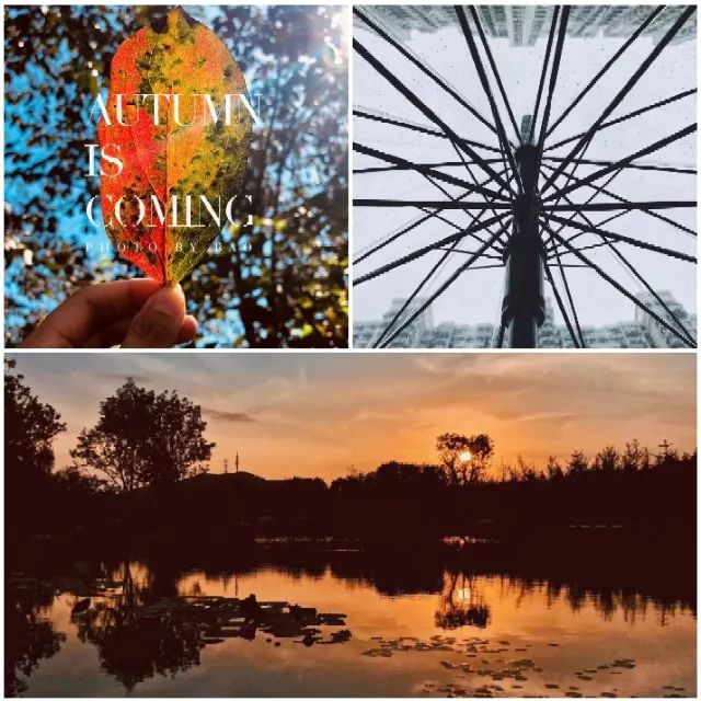 零基础摄影学习培训,全面技能提升训练营