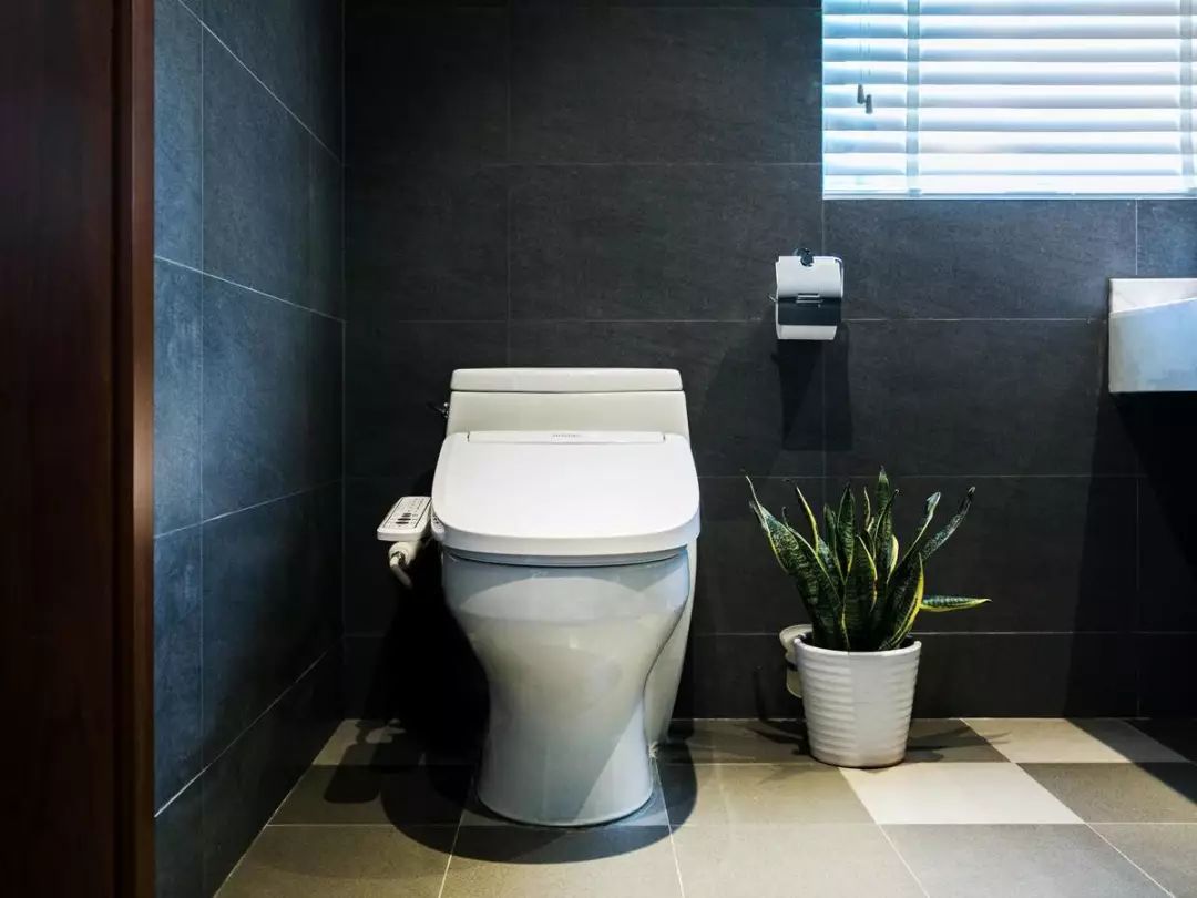 lunamini2代洁面仪,lunamini2代电动洁面仪怎么使用