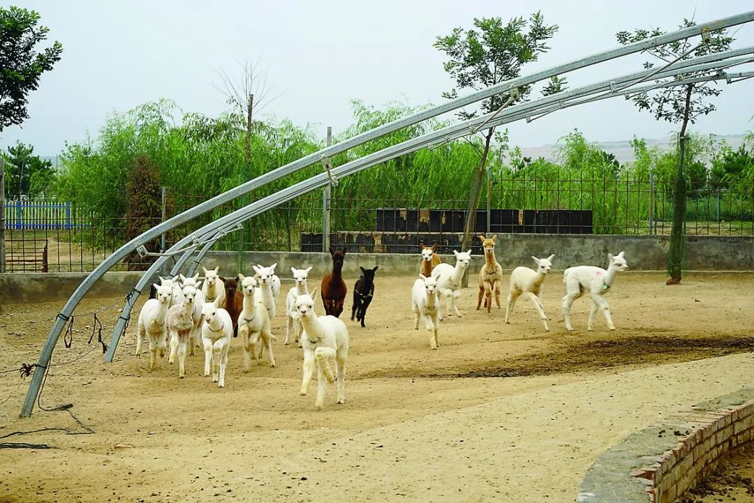 鏃朵唬鏂颁汉閭撴槙,閭撴槙閲嶅簡