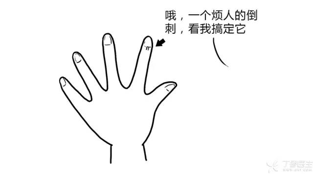 感觉我的指甲生长很快但月牙少,手指甲上月牙少吃什么药最好