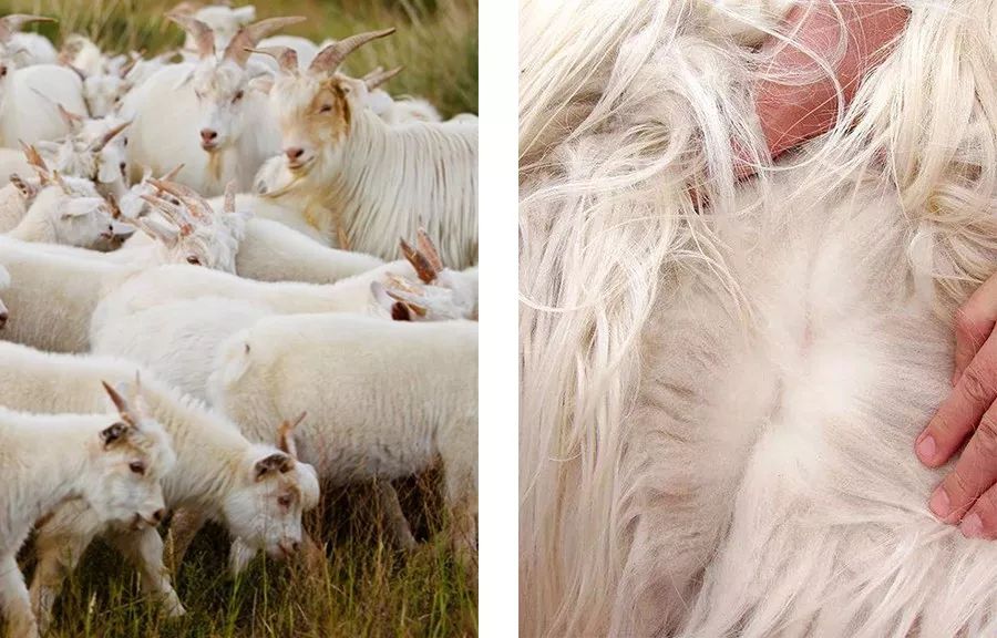 高品质平价羊绒围巾,冬季的羊绒围巾清货