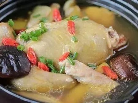 1只母鸡对战1只母鸡,1只老母鸡有多重