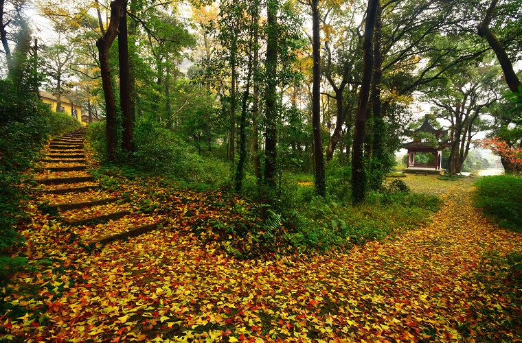 爱爬山的人都爬什么山,爱爬山的山里人完整版