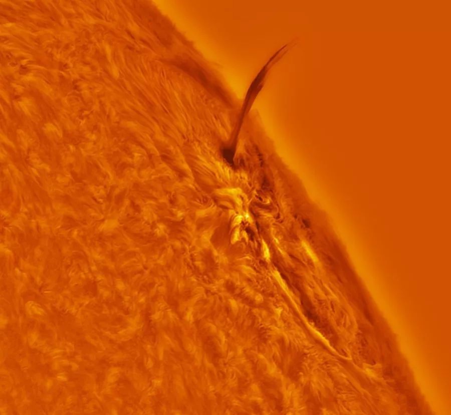 bluemonday鐢靛奖,bluemonday鍗＄偣