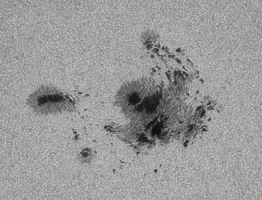 bluemonday鐢靛奖,bluemonday鍗＄偣