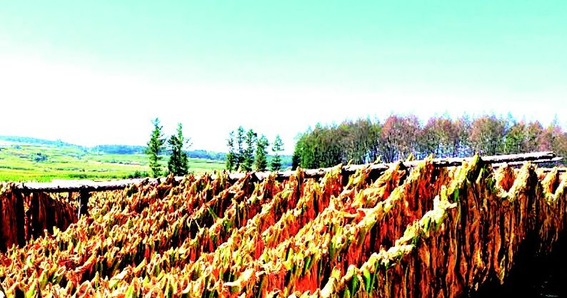 辉南县经济怎么样,辉南永兴