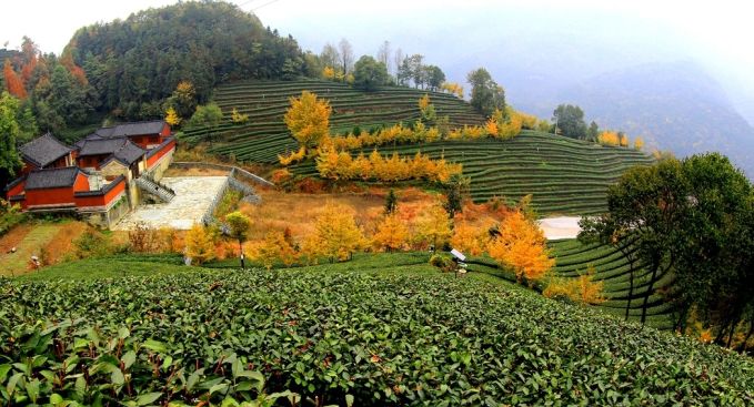 佛山机场直飞航班时刻表,佛山机场有直飞上海的吗