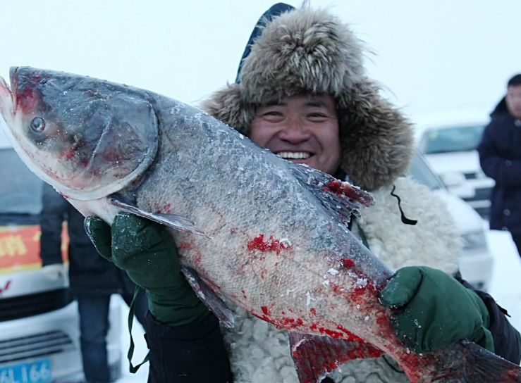 刘烨一家三口野外生活,刘烨旅游