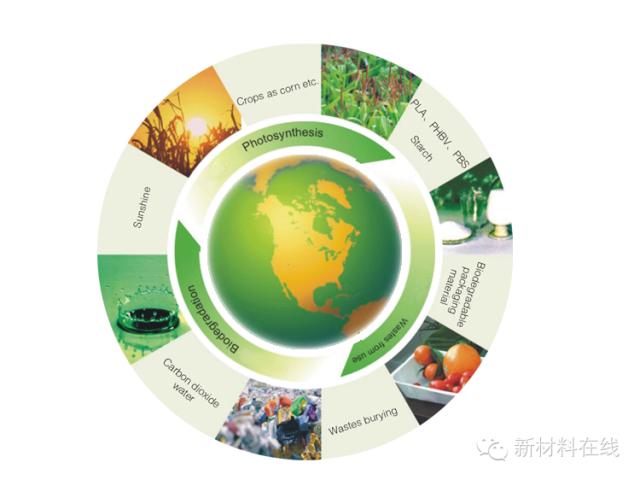 未来二十年最具潜力的科技股,未来最有潜力的新材料概念股