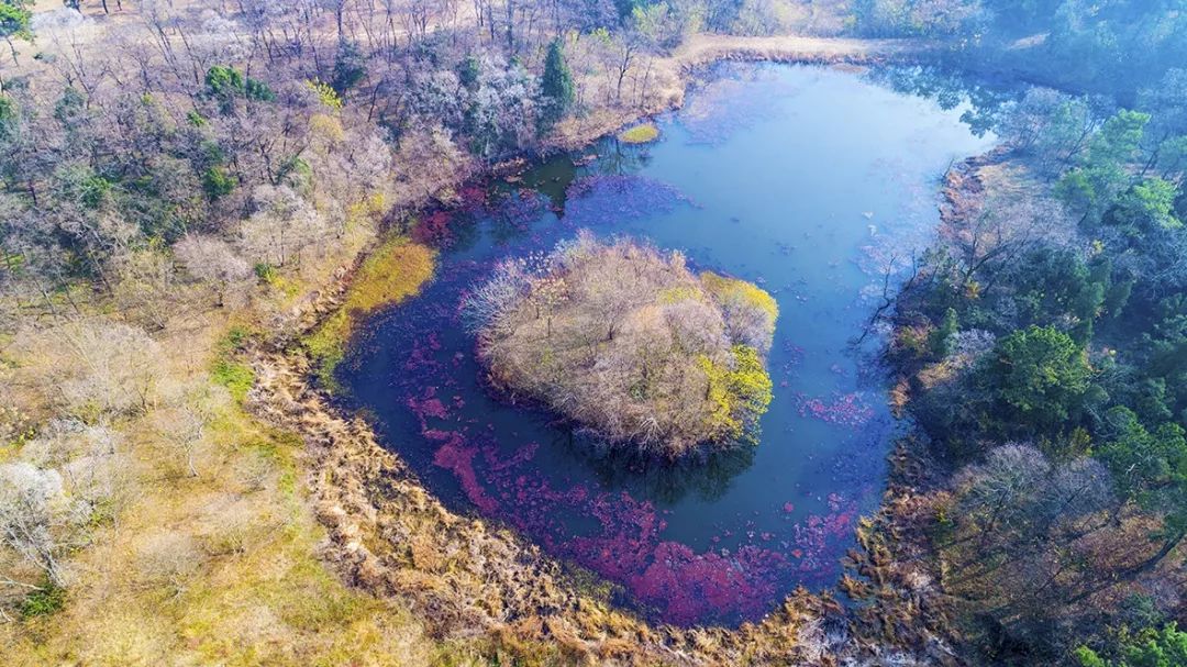 航拍蚌埠高清视频,航拍蚌埠