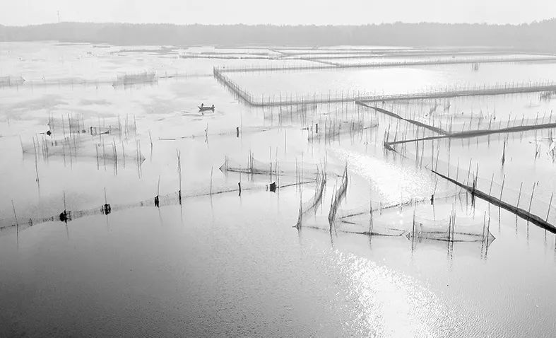 航拍蚌埠高清视频,航拍蚌埠