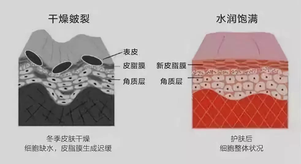 有了羽绒服不会冷了,有了羽绒服不会冷吗