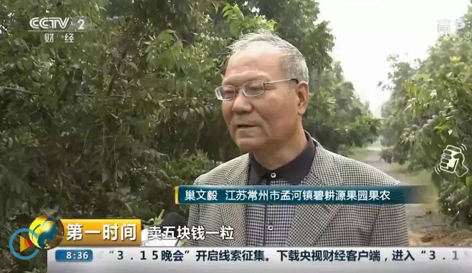 碧根果致富项目,碧根果获丰收小果实带动新产业