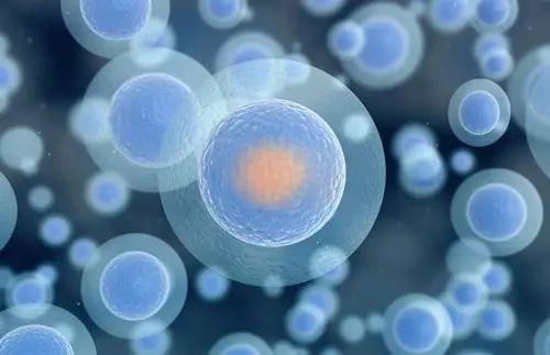 快来围观健康的科普,和你有关的健康小知识