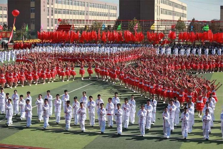 大荔中小学运动会开幕式,大荔县2016年第十四届运动会