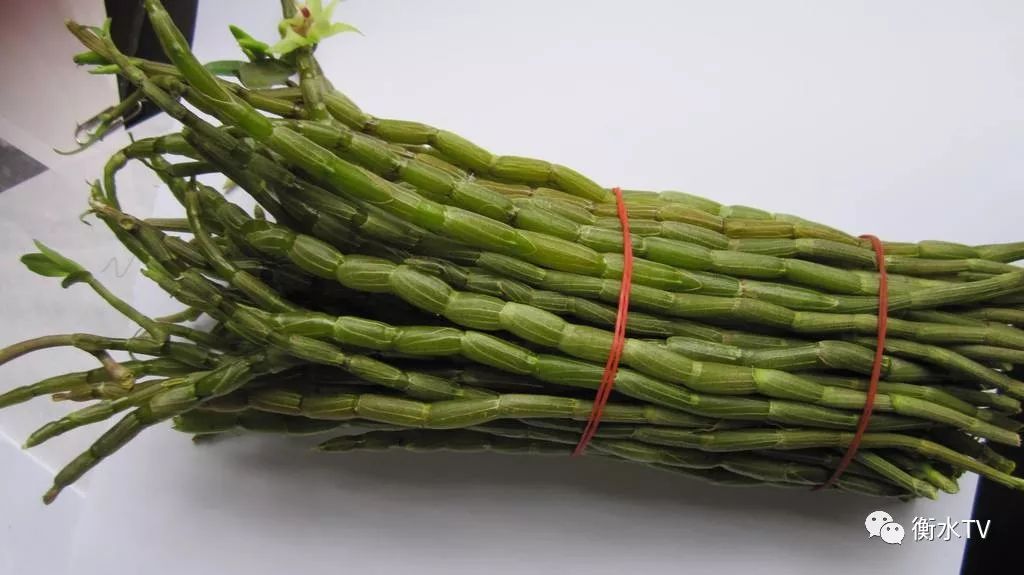 纯正文山三七粉每日一元限量体验,三七粉特价