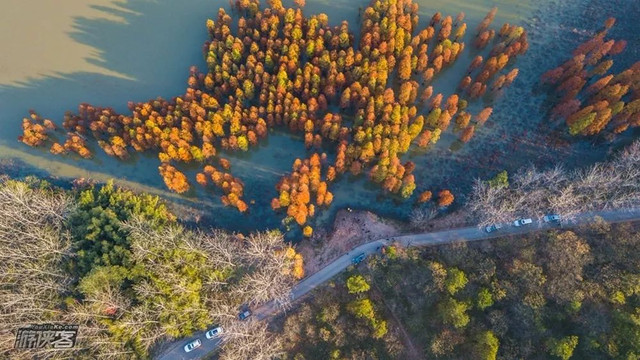 南京最美赏秋地点,南京赏秋之旅