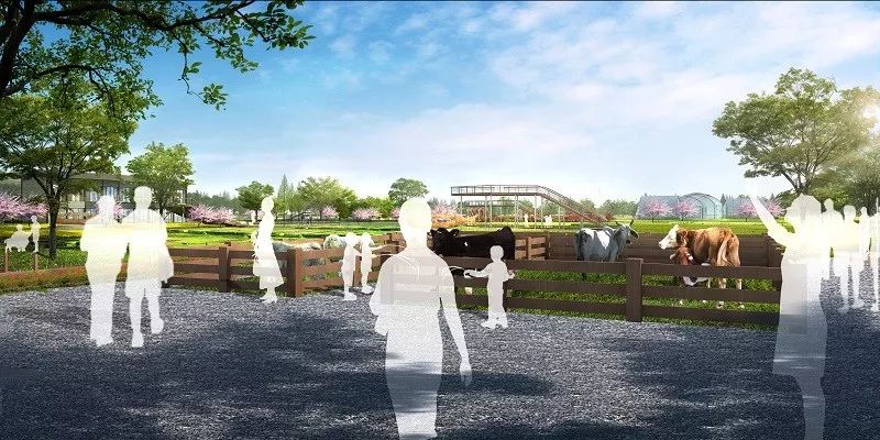 杭州钱江新城楼顶足球场,杭州规划建设6万座专业足球场