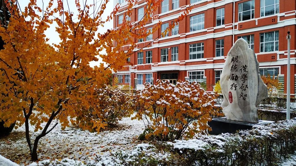 鎷虫嫵璧ゅ瓙蹇冩娈锋姊撴儏闃呰,涓嶅繕鍒濆績姣嶆牎鎯呭洓鍗佷綑杞藉啀鑱氶