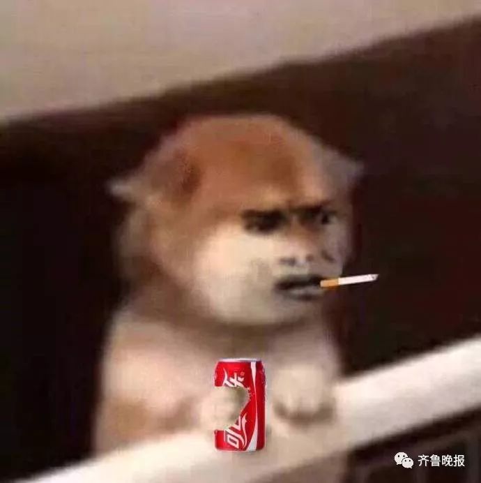 代购商逃税10年判几年,代购逃税处罚