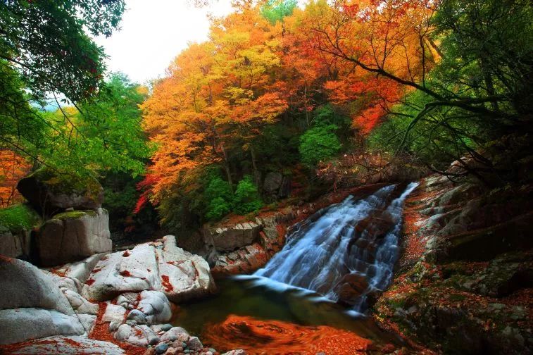 错过了红叶最佳观赏时间,光雾山红叶最佳观赏地方是哪里