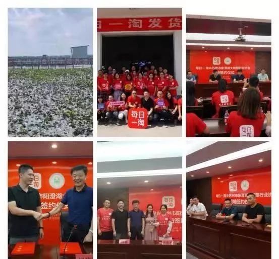 每日一淘怎么加入代理,每日一淘怎么运营