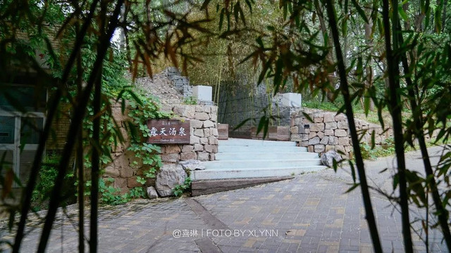 羊驼陪吃早餐，天鹅湖中畅游，藏身北京奥森旁的休憩之地：在之禾