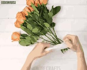 马桶堵了拿保鲜膜封住,马桶堵了怎么用保鲜膜