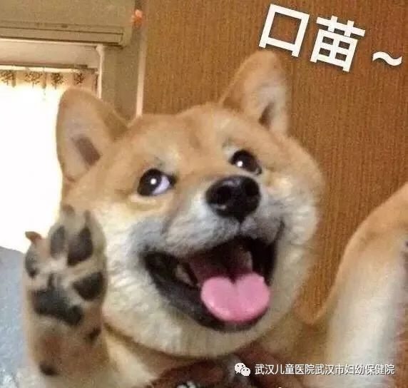 多吃热干面生儿子，每天喝醋得闺女？这些“秘方”靠谱吗？