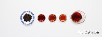 微生物跟酒有什么关系,哪种微生物参与黑茶