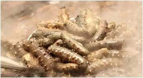 早上空腹吃它是“百补之王”补肝强肾、延年益寿,现在知道还不晚……