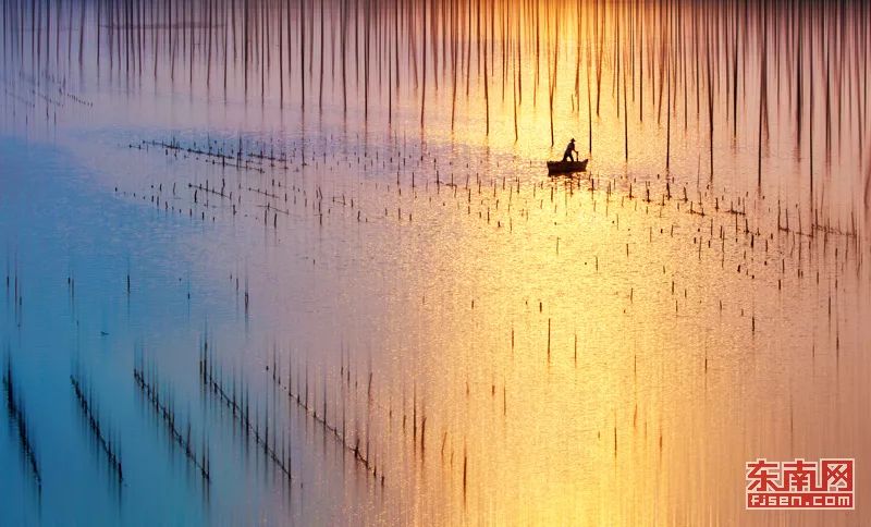 2022宁德美食节活动,福建宁德福安运动会表演