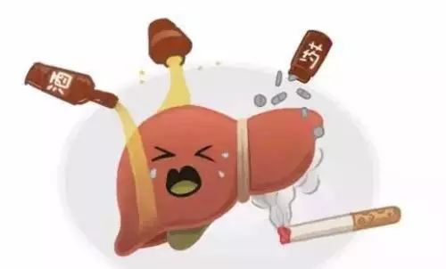 转氨酶升高中药怎样治疗,转氨酶升高中医治疗