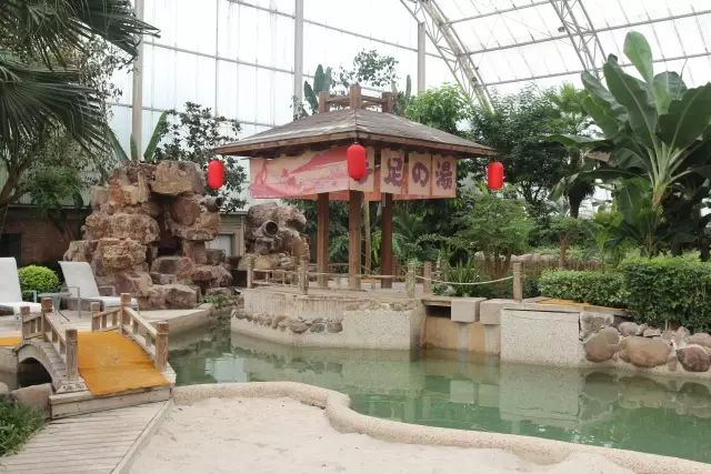 松江区比较好的酒店,上海松江高档温泉酒店