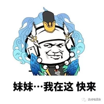 小锦鲤真喜庆,实不相瞒吉利