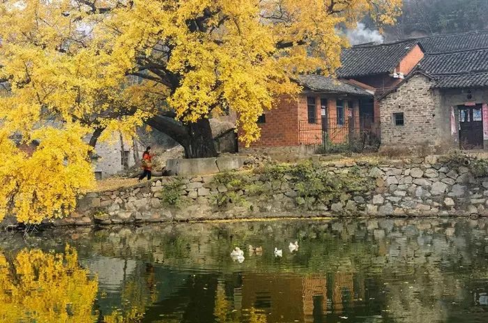 杭州特价机票购买攻略,杭州机票优惠团购