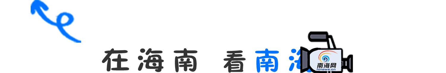 鍗楀浗鎯呯紭鎶栭煶,鍗楀浗鎯呯紭绾夸笅浜ゅ弸娲诲姩
