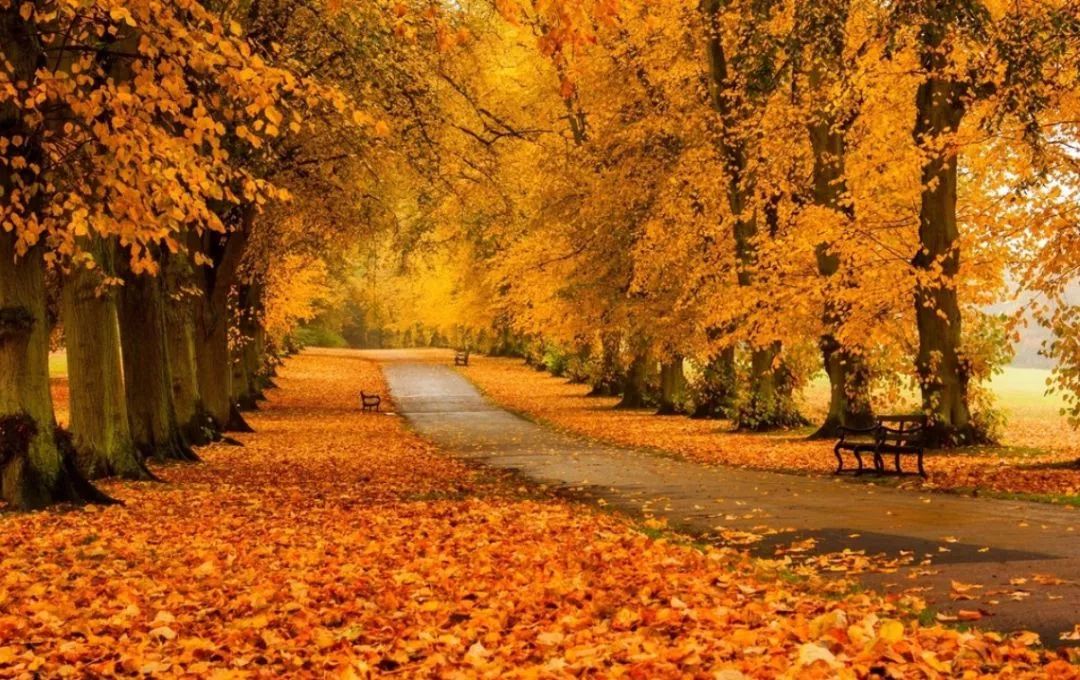 徐州秋景哪个地方最好看,徐州周边赏秋景的地方