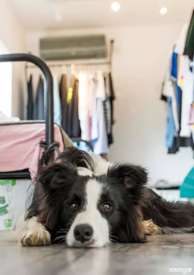 漂亮小姐姐开的网红店,高颜值小姐姐做美食