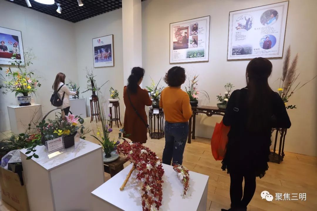 林博会上插花艺术家现场教你插花，还有50多件花艺大师作品亮相！
