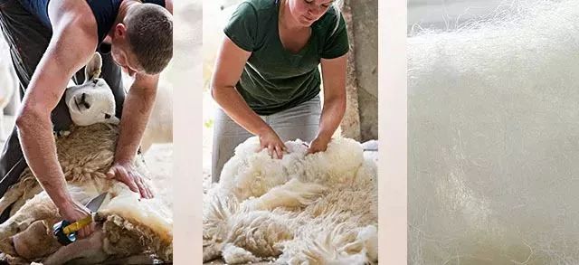 双11直降|100%澳洲进口细羊毛,防尘抗螨,吸湿排汗,每天都像睡在云朵里