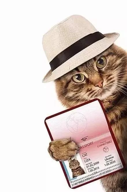 有关护照过期的说说,护照过期大使馆发信息通知