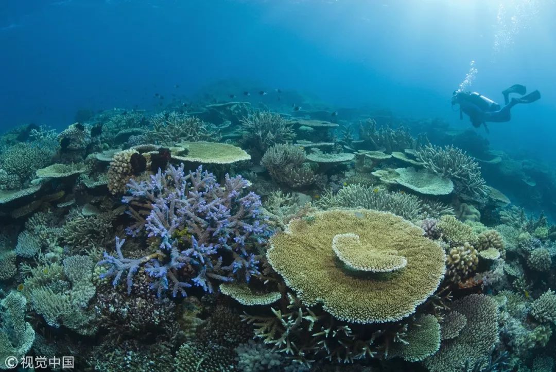 第一批90后被判“拖延癌”？他们的扎心瞬间告诉你：逃避可耻且无用