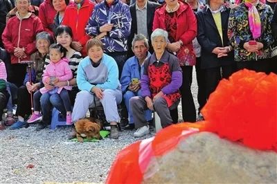 三农盘点2018,三农维度第53期