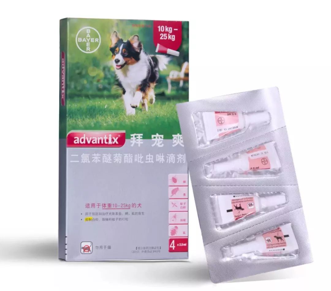 没想到就连满分合格的铲屎官,都可能错过它们……