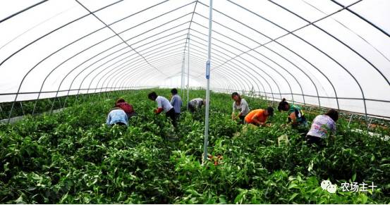 土地流转农民的机遇,农村土地流转困境