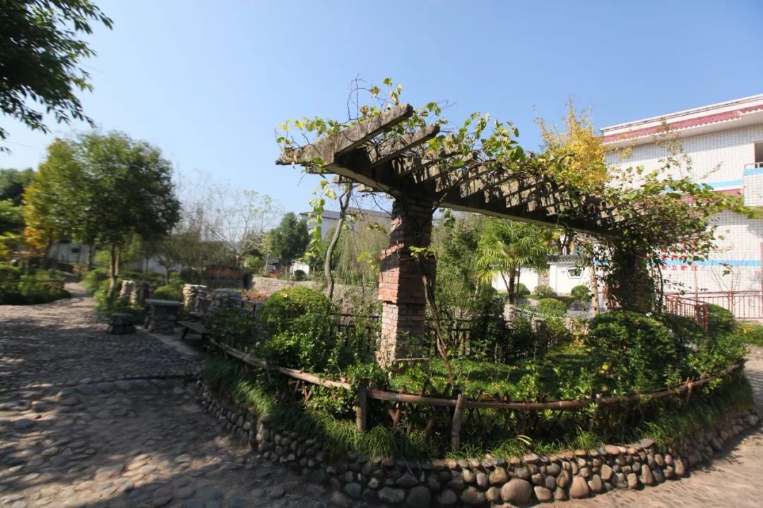 关注|凭什么?安乐乡卫生院蝶变为“最美”乡卫生院