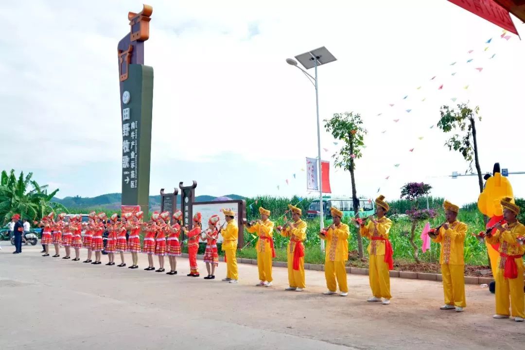 南宁哪里有摘火龙果的地方,南宁周边哪里有火龙果摘