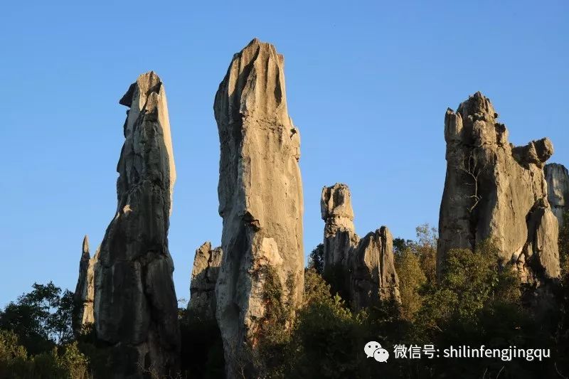 石林是喀斯特地貌的精华吗,云南石林喀斯特地貌特征